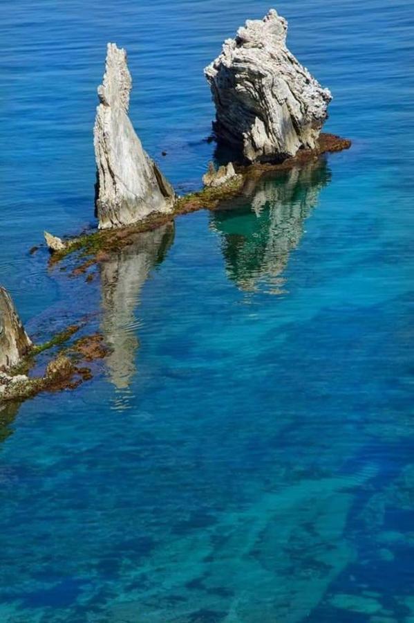 Il Moro - Casa Vacanze Terrasini Exteriér fotografie