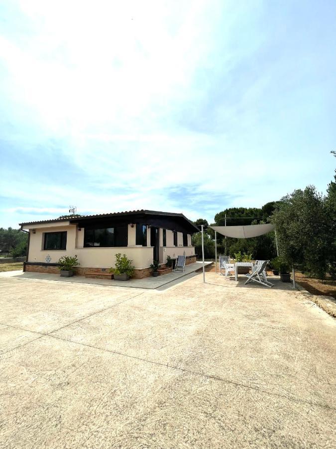 Il Moro - Casa Vacanze Terrasini Exteriér fotografie